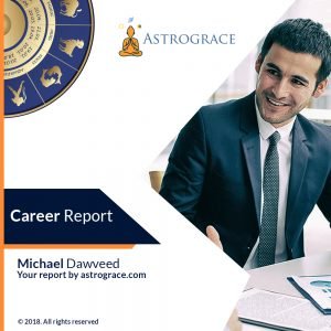 Career report